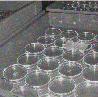 <traduction de portée=